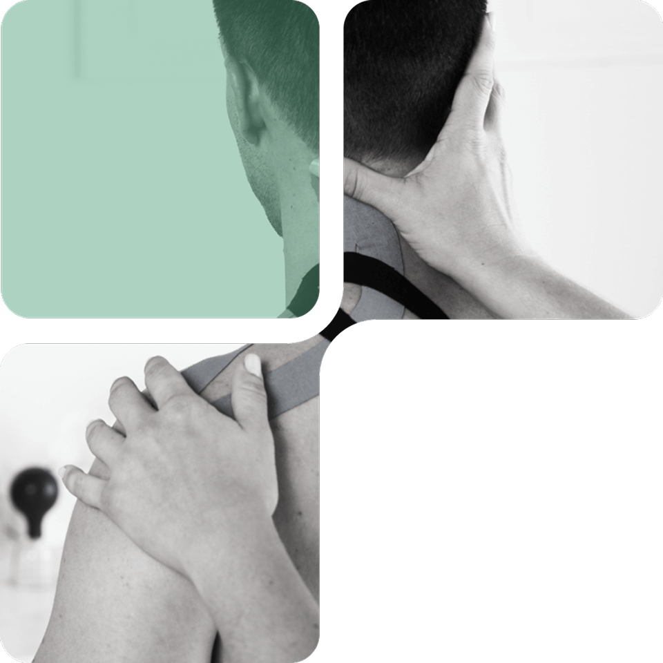 Omurganın S şeklindeki doğal eğrisini gösteren anatomi çizimi.